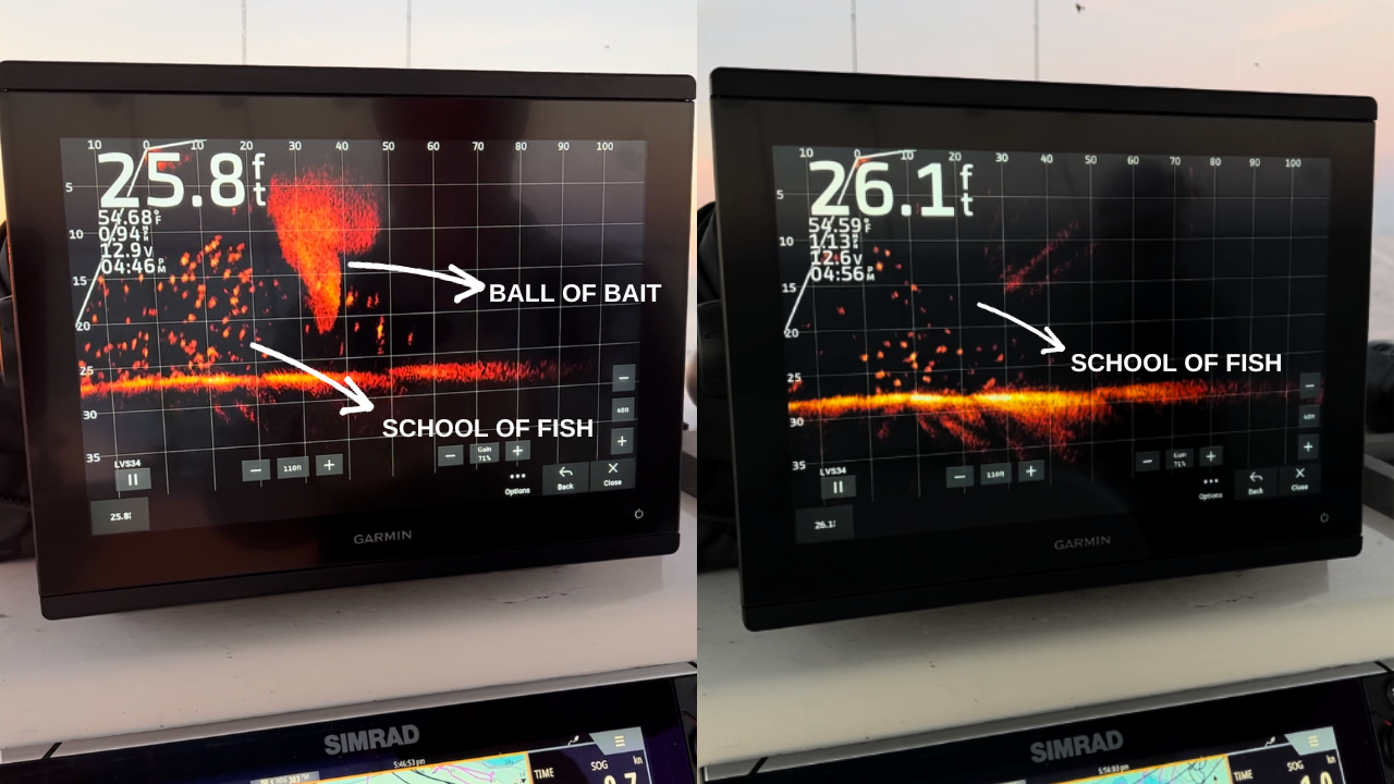 Garmin Panoptix LiveScope System TV Spot, 'See Fish Live, Catch Fish Now' 