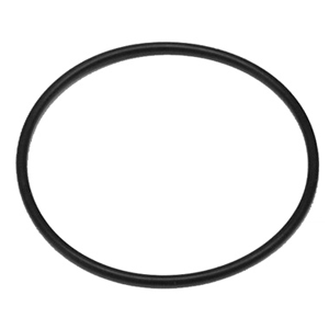 Airmar O-Ring for P79 In Hull Transducer